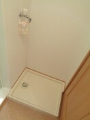  アガパンサスⅡ