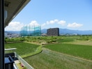  レイクアヴェニュー