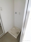  エバーグリーン植政