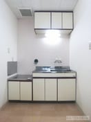  レイクパレスNasuⅡ