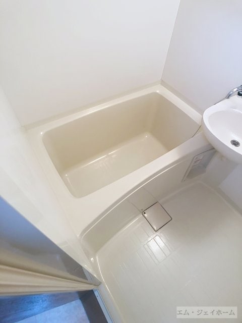  レイクパレスNasuⅡ