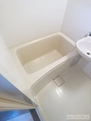  レイクパレスNasuⅡ