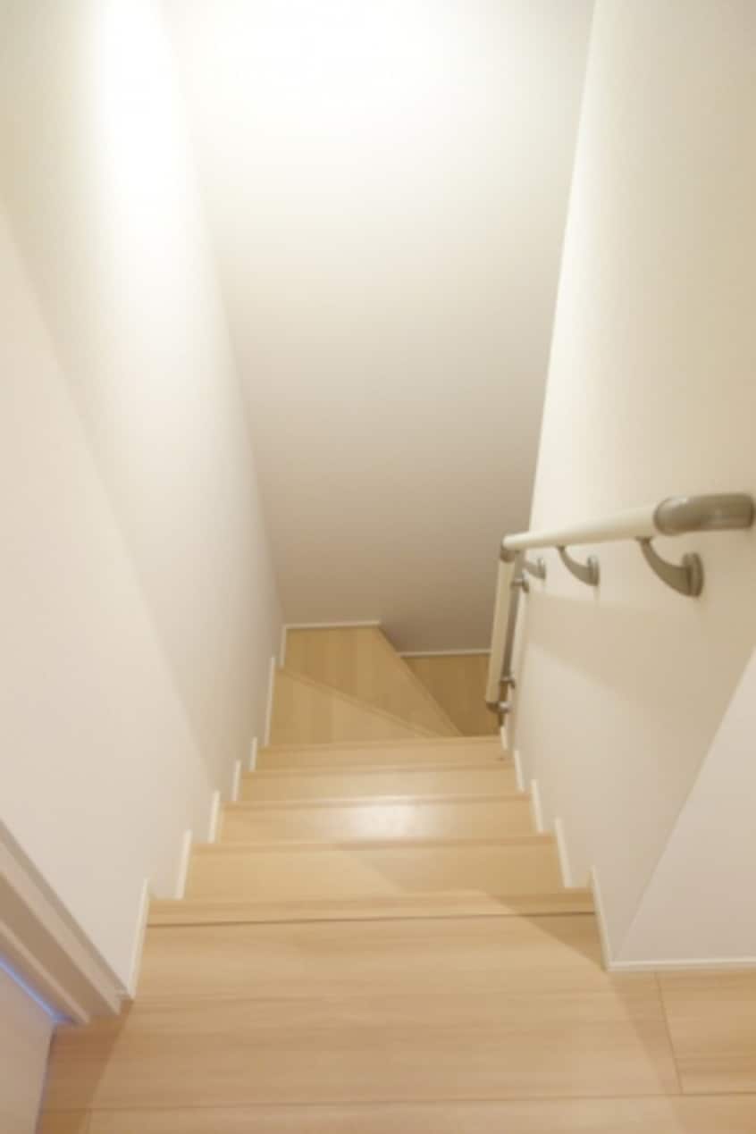  サンシャイン飛竜