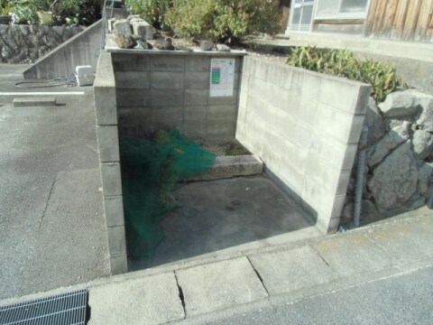  アラサンテコジマ