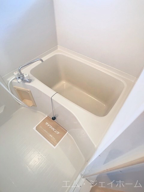  アラサンテコジマ