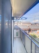  アラサンテコジマ