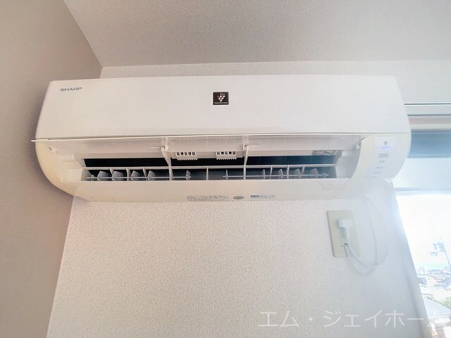  アラサンテコジマ