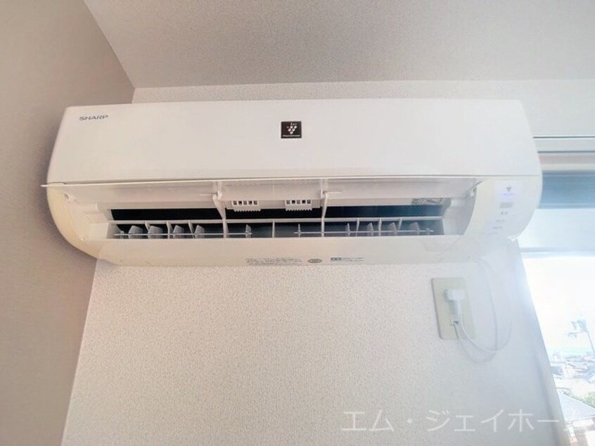  アラサンテコジマ