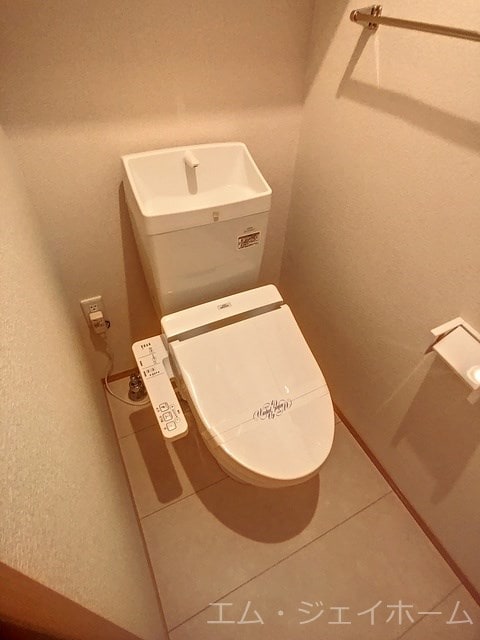  サニーコートアレックス