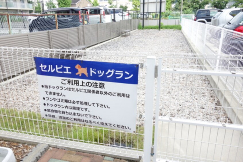  セルピエ