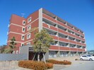 シルクロードの外観
