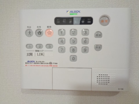  サンシャイン飛竜