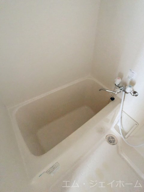  エバーグリーン植政