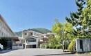 中学校/中等教育学校まで1500m※野洲市立野洲中学校 ドーミトゥリィ原田