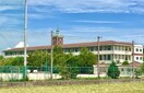 中学校/中等教育学校まで1700m※野洲市立野洲北中学校 冨波グリーンマンション