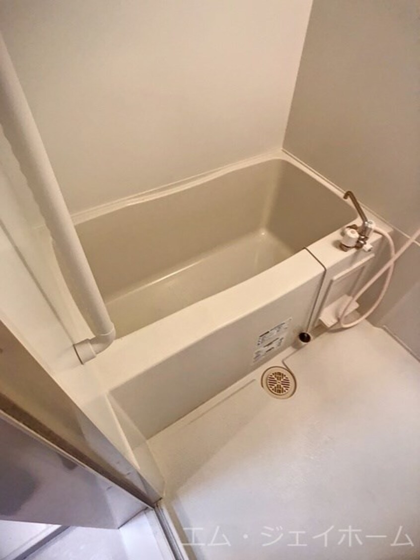  セジュールコウハナ