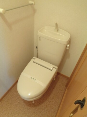  アガパンサスⅡ