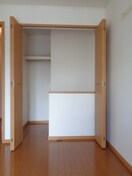  アガパンサスⅡ