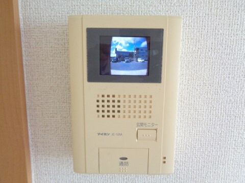  アガパンサスⅡ