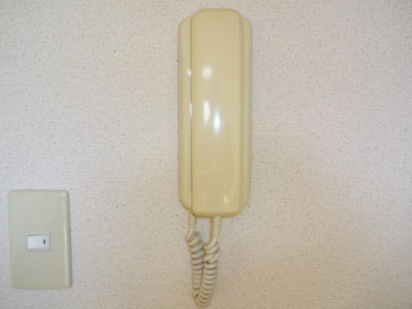  Ｂｅｌｌｅ　Ｓｈｉｎｅ　B