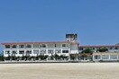 小学校まで800m※近江八幡市立桐原東小学校 シャーメゾン　プランドール　Ⅱ