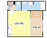カリーナ 1LDKの間取り
