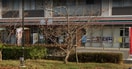 コンビニまで1m※セブン－イレブン　彦根野瀬町店 Grandream