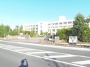 中学校/中等教育学校まで1200m※守山市立守山南中学校 ファミールⅡ