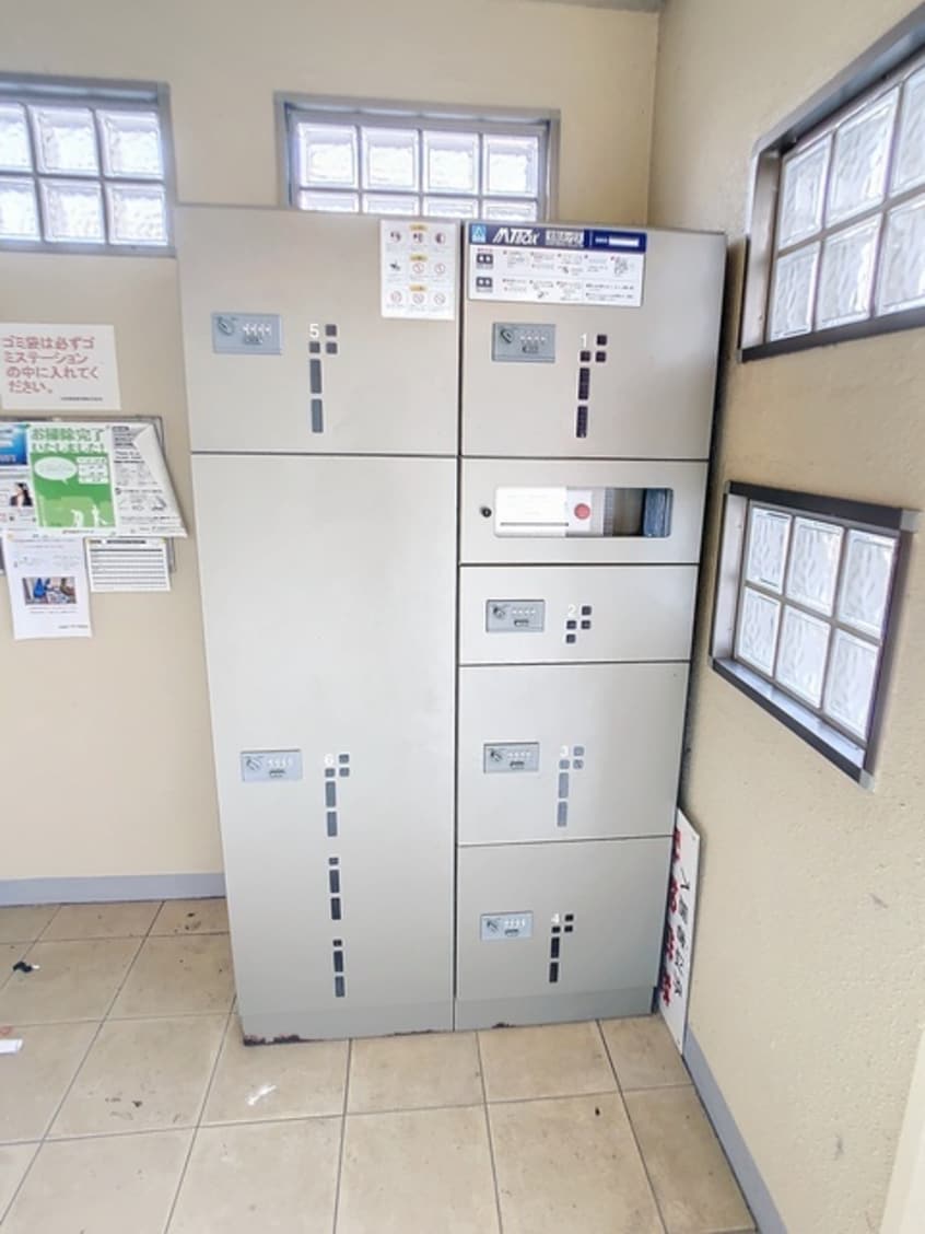  シーダーエース