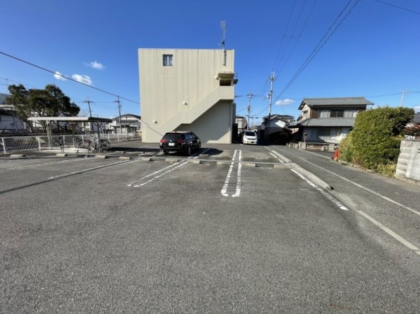  シーダーエース