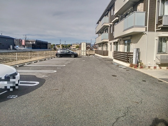  サニーコートアレックス