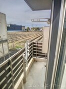  サニーコートアレックス