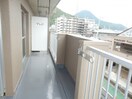  アスシャルマン野洲