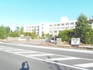 中学校/中等教育学校まで2200m※守山市立守山南中学校 PRATO VERDE (プラート ヴェルデ)