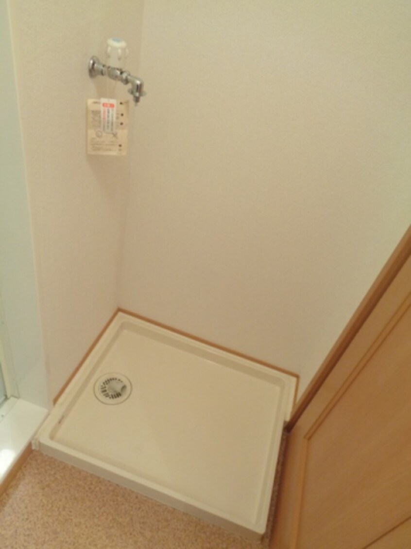  アガパンサスⅡ