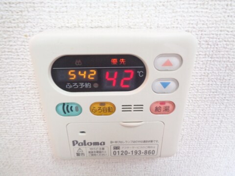  アガパンサスⅡ