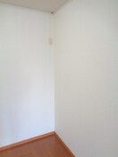  アガパンサスⅡ