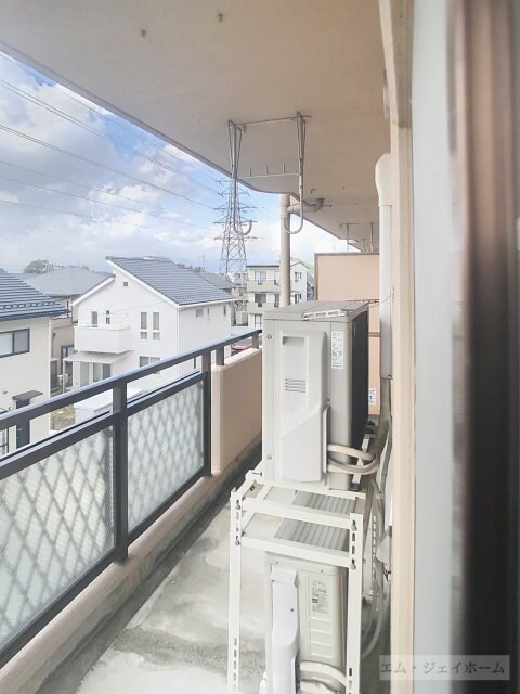  パールグレイス