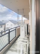  パールグレイス