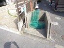  開花えれがんす
