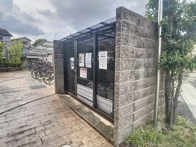  Blezio3