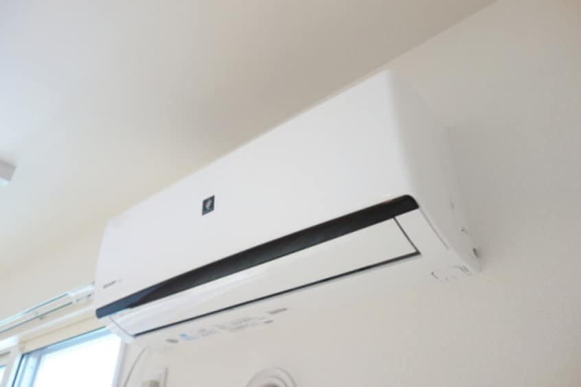  サンシャイン飛竜