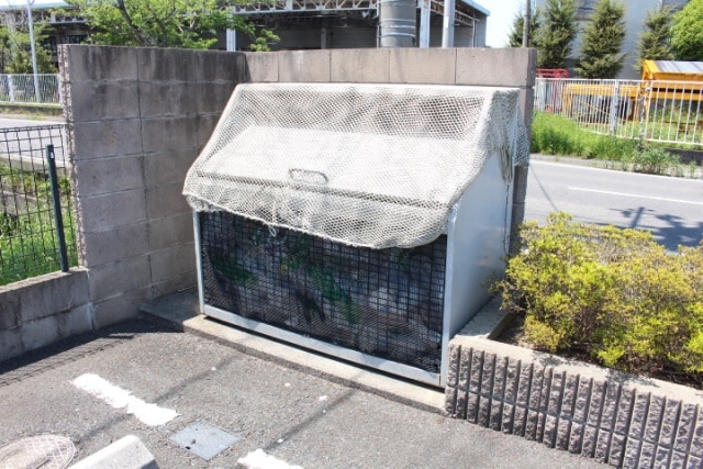  パシフィックドリーム