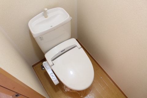  パシフィックドリーム