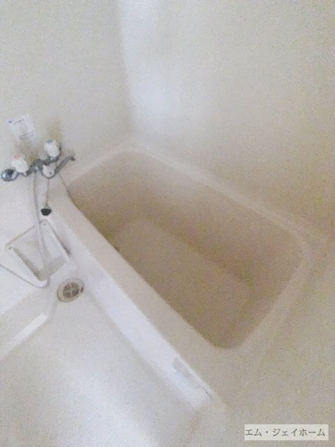  エバーグリーン植政