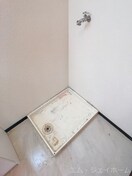  サラナフラット