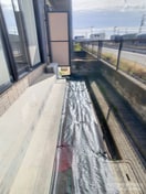  シュペリュール