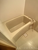  フォルクス淡海