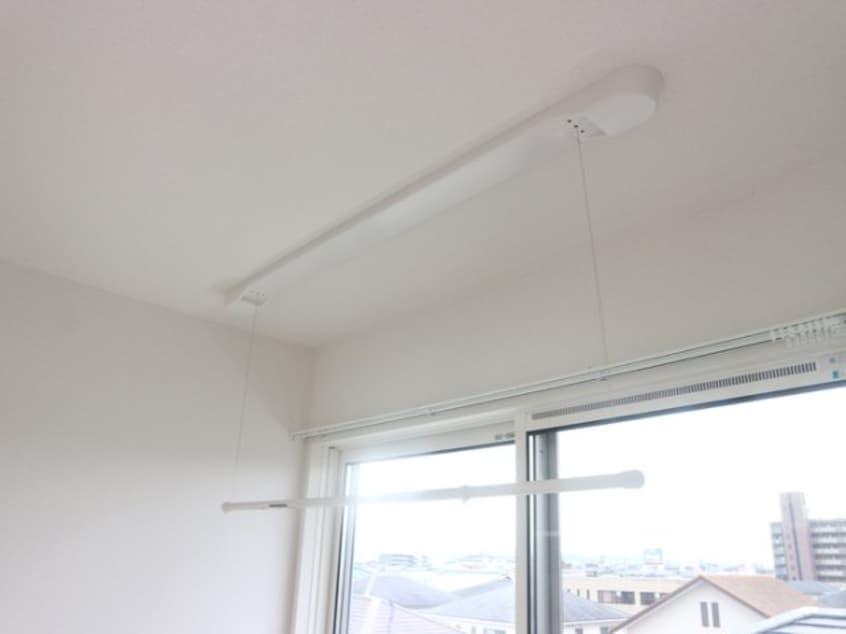  Lys Gracieux（リス　グラシュー）