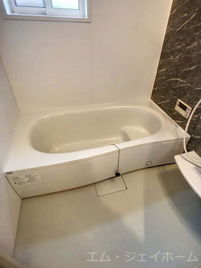  サニーコートアレックス